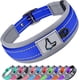 thumbnail image 1 of Collar para perros Joytale acolchado de neopreno ajustable para perros grandes, 1 of 5