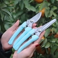 thumbnail image 6 of Premium Garden Shears, Pruning Scissors Gardening Tools, Pruners For Flower, Bushes, Rose And Fruit Tree, Use For Florist, Yard And Orchard the Plant Clippers, Sharp White Steel Anvil Snips, 6 of 9
