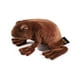 thumbnail image 5 of Peluche The Noble Collection Harry Potter Chocolate Frog, 5 of 7