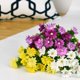 thumbnail image 4 of UNIDS Artificial Mini Daisy Flores Ramos 29 Cabezas Arreglos de Seda Nupcial Hogar DIY Jardín Oficina Mesa de Comedor Decoración de Boda Puesta de Sol Rojo Sincero Juguete, 4 of 5