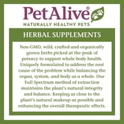 PetAlive Thyro-Pet Herbal Drops for Dog & Cat Thyroid Support - Herbal Liquid Thyroid Formula with Bladderwrack, Astragalus, Nettle Leaf, Supports Healthy Thyroid Function - 2 Fl Oz