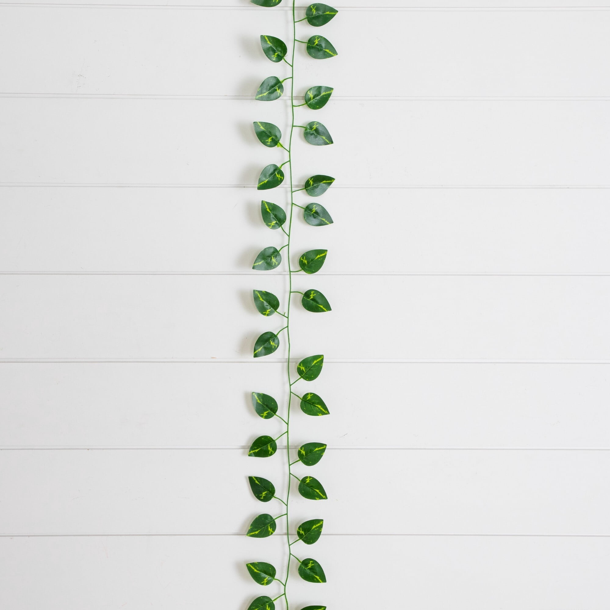 7ft. Artificial Dieffenbachia Garland - Set of 24