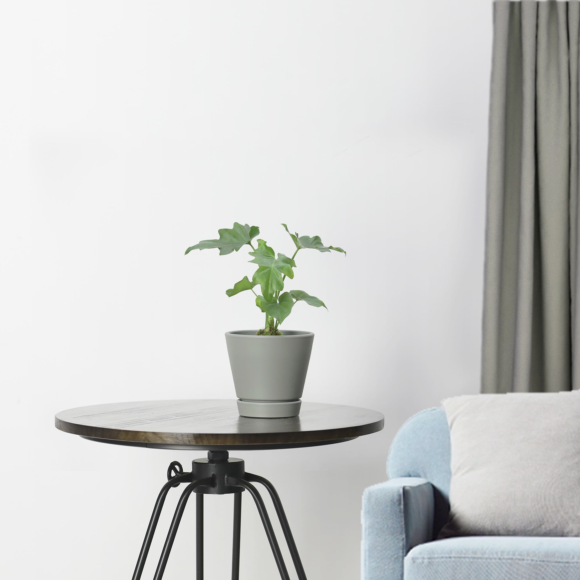 Mainstays Recycled Resin Planter with Attached Saucer, Gray, 5.9in x 5.9in x 5.5in