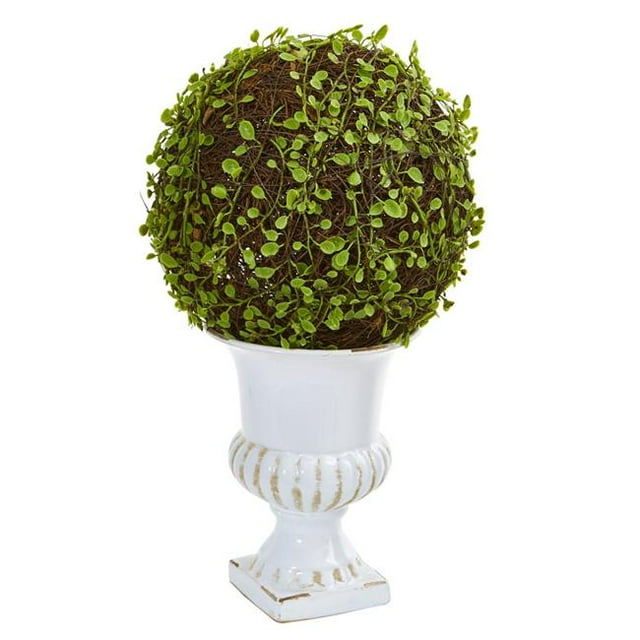 18 in. Mohlenbechia Ball Topiary in White Urn