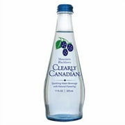 Clearly Canadian Mountain Blackberry Sparkling Water (Pack of 2)