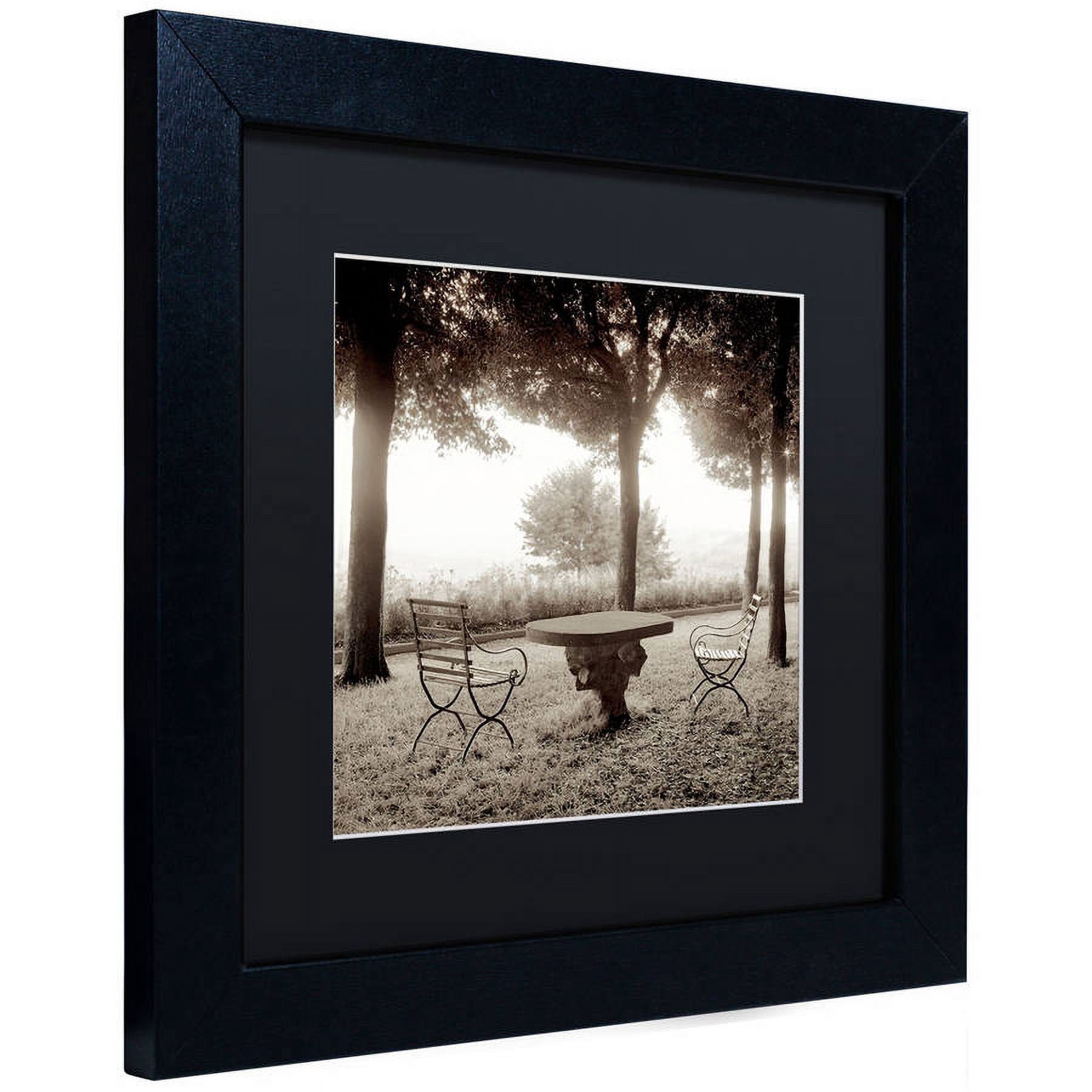 Trademark Fine Art "Fiesloe Giardini I" Canvas Art by Alan Blaustein, Black Matte, Black Frame