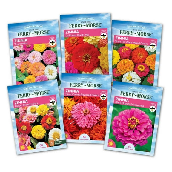 Ferry-Morse Zinnia Flowers Seed Variety Pack - 6 Pack