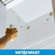 Wet & Forget Indoor Mold + Mildew Disinfectant Cleaner, 64 oz.