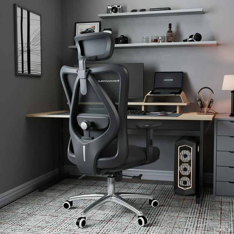 SIHOO Ergonomic High Back Office Chair, Adjustable Computer Desk Chair with  Lumbar Support, 300lb, Gray