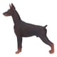 thumbnail image 3 of Figura de perro, material plástico Juguetes Realistas en miniatura en miniatura estatua de perros educativa para niños, 3 of 7