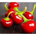 thumbnail image 1 of GSDWIUEW Graines Piment Fort Cerise Rond Rouge Légume d'Héritage pour la Plantation, 1 of 8