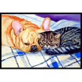 thumbnail image 1 of Carolines Treasures 7257MAT Tapis pour Chat Intérieur Ou Extérieur - 18 x 27 Po., 1 of 4