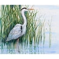 thumbnail image 3 of OToole, Tim 23x20 Black Modern Framed Museum Art Print Titled - Heron in the Marsh I, 3 of 5