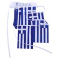 thumbnail image 1 of Bandera colgante de Grecia Eventos deportivos Bandera nacional Bandera de cuerda de Grecia Banderín Banderín Pequeñas mini banderas griegas Banderines Decoración nacional del país, 1 of 7