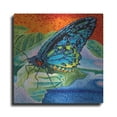 thumbnail image 1 of Luxe Metal Art 'Poised Butterfly II' by Carolee Vitaletti, Metal Wall Art, 36"x36", 1 of 7