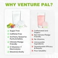 thumbnail image 5 of Venture Pal Sugar Free Electrolyte Powder Packets - Daily Hydration Packets | Electrolytes Drink Mix with 5 Vitamins & 7 Electrolytes | Keto Friendly | Non-GMO | Certified Vegan | 16 Sticks, 5 of 6
