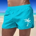 thumbnail image 2 of Mens Swim Trunks Beach Palm Trees Quick Dry With Pockets Swimwear Bathing Suits Beach Outdoor Sky Blue M, 2 of 4