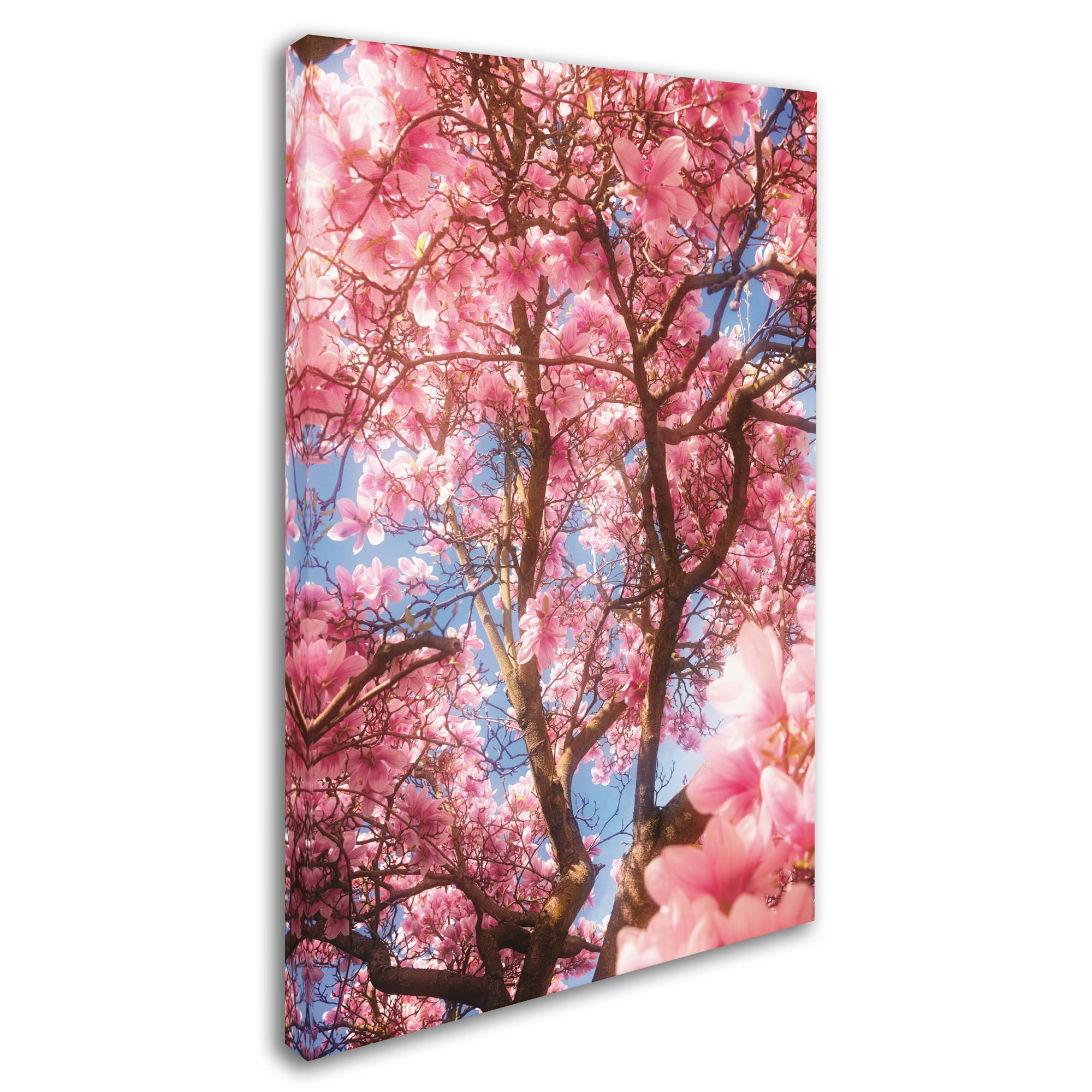 Trademark Fine Art 'Spring Perfume' Canvas Art by Philippe Sainte-Laudy