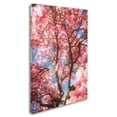 thumbnail image 2 of Trademark Fine Art 'Spring Perfume' Canvas Art by Philippe Sainte-Laudy, 2 of 3