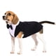 thumbnail image 3 of Esmoquin para Perro, Conjunto de Esmoquin para Perro, Traje y Bandana para Boda, Pajarita, Camisa, Ropa Formal Elegante, Abrigos para Fiesta de cumpleaños, Boda, Navidad, Fiesta de Halloween, 3 of 4