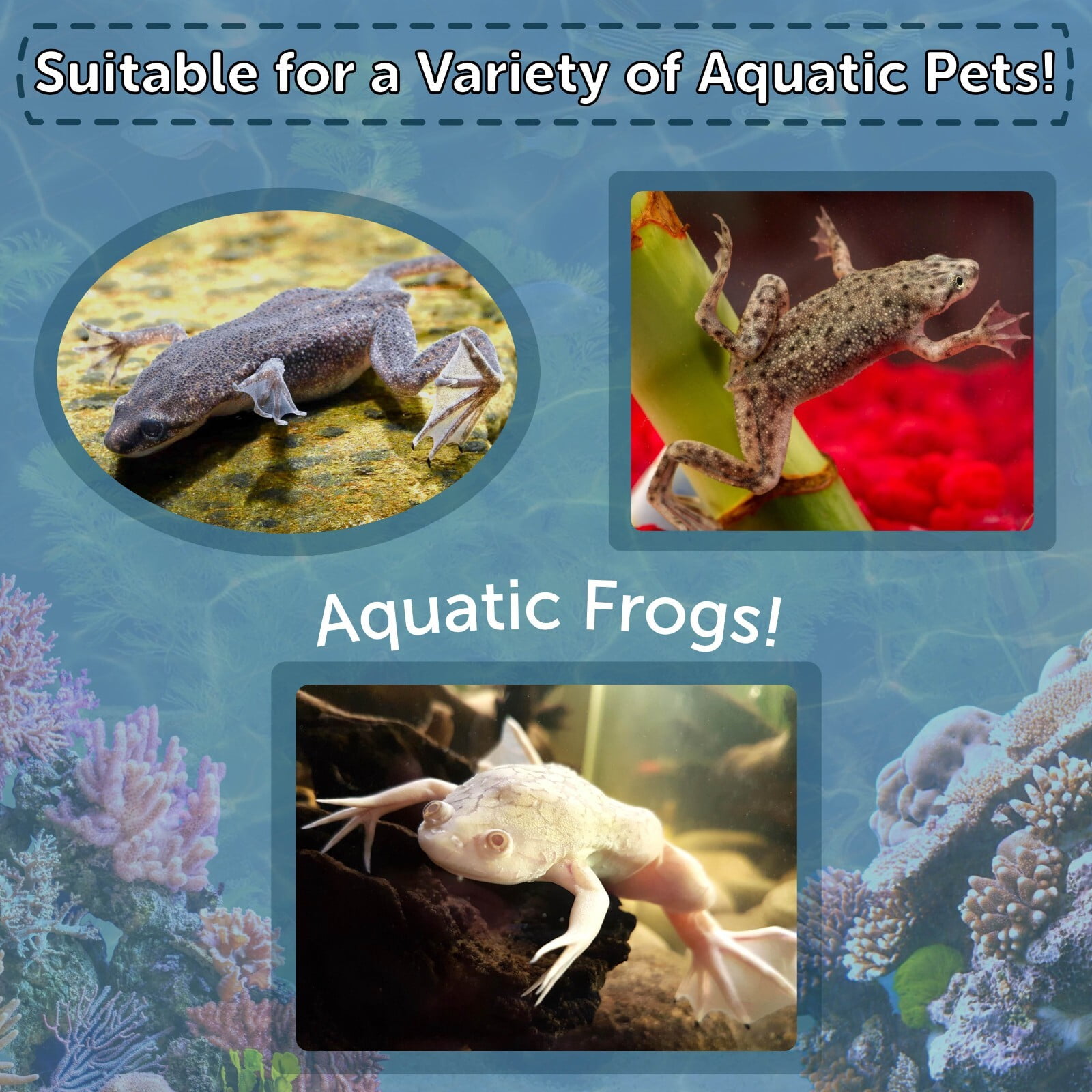 Aquatic Frog, 4mm-3/16" Sinking 40% Protein Nuggets With Calcium Feeders for Aquatic Frogs, Snails, Shrimp, All Tropical Fish 2-lbs Jar