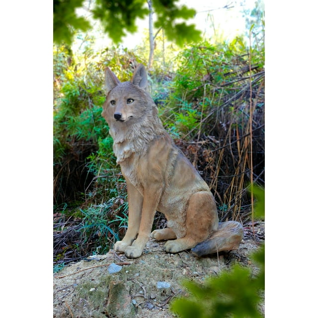 Statue d'Animal - Statue en Résine Coyote Assise Décoration de Jardin/maison/cour Faune Animal