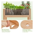 thumbnail image 3 of Raised Garden Bed with Legs, 24” Elevated Planter Box with 2 Acrylic Panel Sides, Drain Holes, Movable Beds, Plant Terrarium with Stand, Planter Raised Beds for Vegetables, Fruits, Herbs, 3 of 5