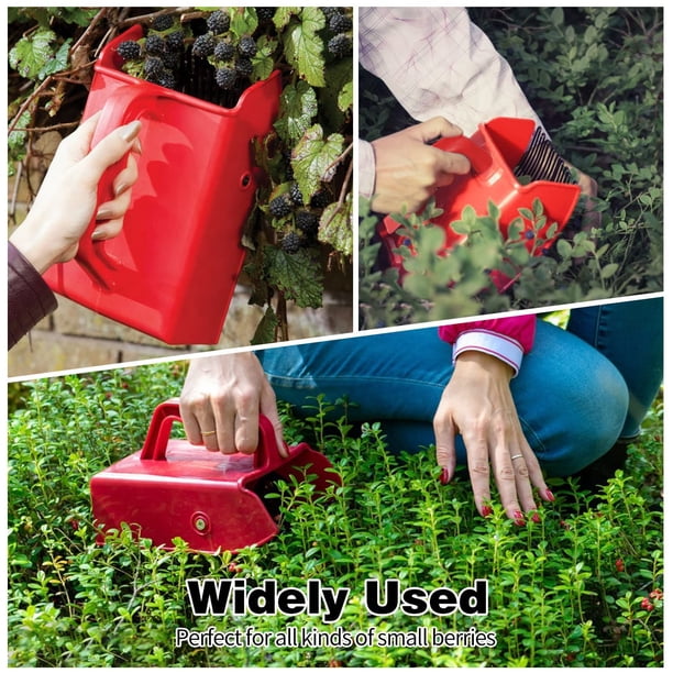 Cuchara recogedora de arándanos, recogedora de bayas de plástico con peine metálico, cosechadora de rastrillos de arándanos con mango ergonómico para una recolección de bayas más fácil