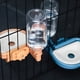 thumbnail image 5 of Botella de agua ABS de gran capacidad Greeniant para mascotas dispensador de agua antidesbordamiento Azul, 5 of 6