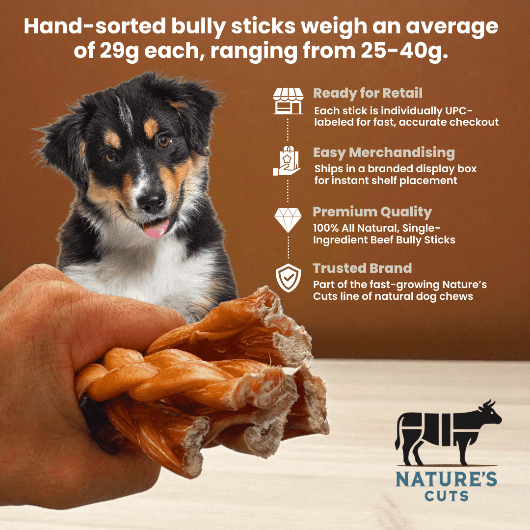 6" Braided Standard Bully Sticks Display Box (60 ct) with Individual UPC Tags - 100% All Natural Beef