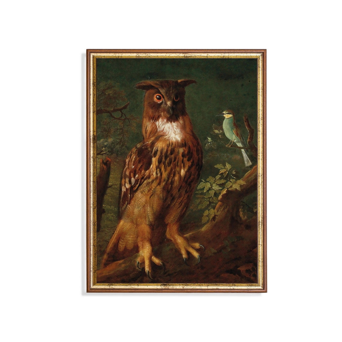 Antique Owl Vintage Bird Wall Art Print Rustic Cottagecore Nature Inspired Living Room Decor
