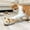 Yellow, variant on Byujiro Interactive Vibrating Mouse Cat Toy Automatic Moving Pet Toy Realistic Squirrel Teaser for Indoor Cats & Kittens