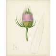 thumbnail image 2 of Unknown  12x14 White Modern Wood Framed Museum Art Print Titled - Watercolor Botanical Sketches VIII, 2 of 4