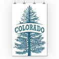 thumbnail image 2 of Colorado, Blue Spruce, Tree Illustration (36x54 Giclee Gallery Art Print, Vivid Textured Wall Decor), 2 of 3