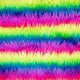 Neon Rainbow