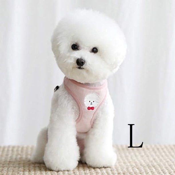 Correa para perro chaleco Teddy perro pequeño mascota correa para el pecho suministros para correa para perro JM Papelería