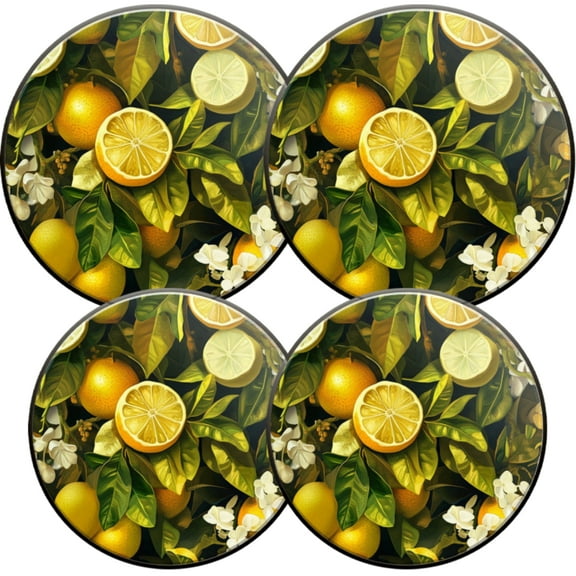 Electric Stove Burner Covers,4 Pcs Round Gas Burner Cover,8 and 10 Inch,Lemon - centric Pattern with Natural Elements