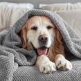 thumbnail image 6 of Vellux King Plush Texture Blanket | Ultra Soft Lightweight All-Season Throw | Grey, 6 of 8