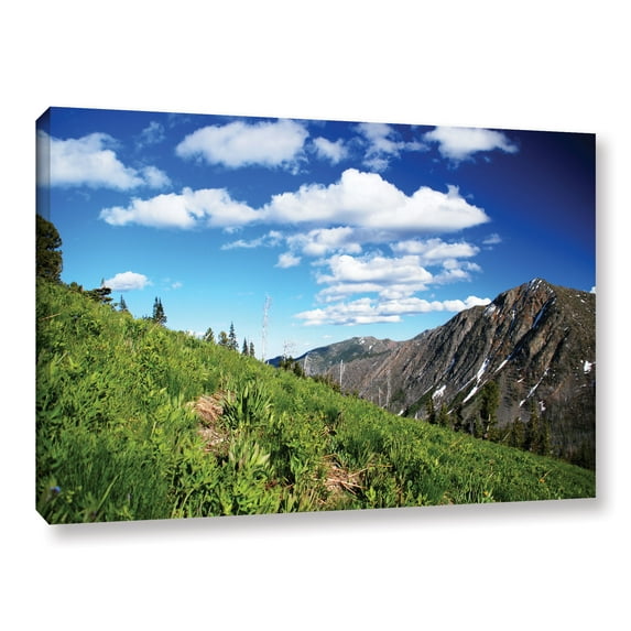 ArtWall Dan Wilson "Mountain Meadow " Gallery-Wrapped Canvas