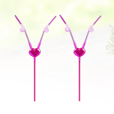 

Masteelf 2 Pcs Couple Art Straw Drinking Straw Straws for Drinks Art Straws Lovers Rosy