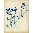 thumbnail image 2 of Vision Studio 25x32 Gold Ornate Wood Framed with Double Matting Museum Art Print Titled - Indigo Leaf Study II, 2 of 4