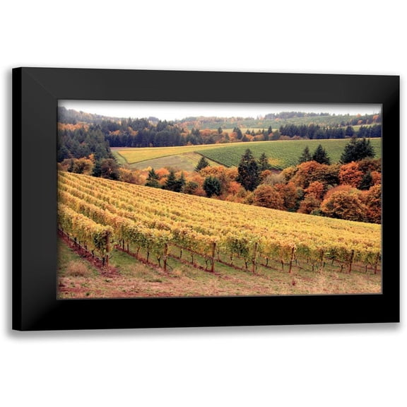 Love, Maureen 14x11 Black Modern Framed Museum Art Print Titled - Fall in Wine Country I