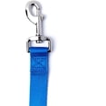 thumbnail image 2 of Petco Brand - YOULY The Classic Blue Webbed ATTOE ATTOE, 2 of 3