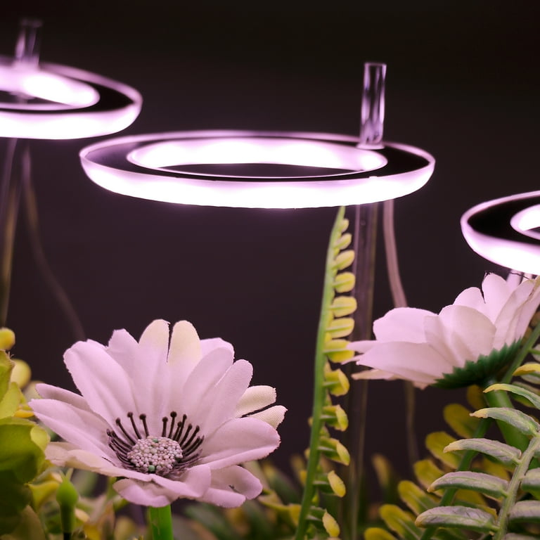 Phyto lamp sale