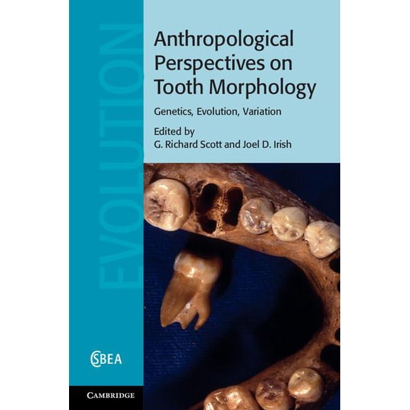 Cambridge Studies in Biological and Evol Anthropological Perspectives on Tooth Morphology, Book 66, (Hardcover)