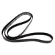 thumbnail image 5 of Serpentine Belt for Sterndrive 4.3L 5.0L 5.7L 6.2L Engines, 5 of 5