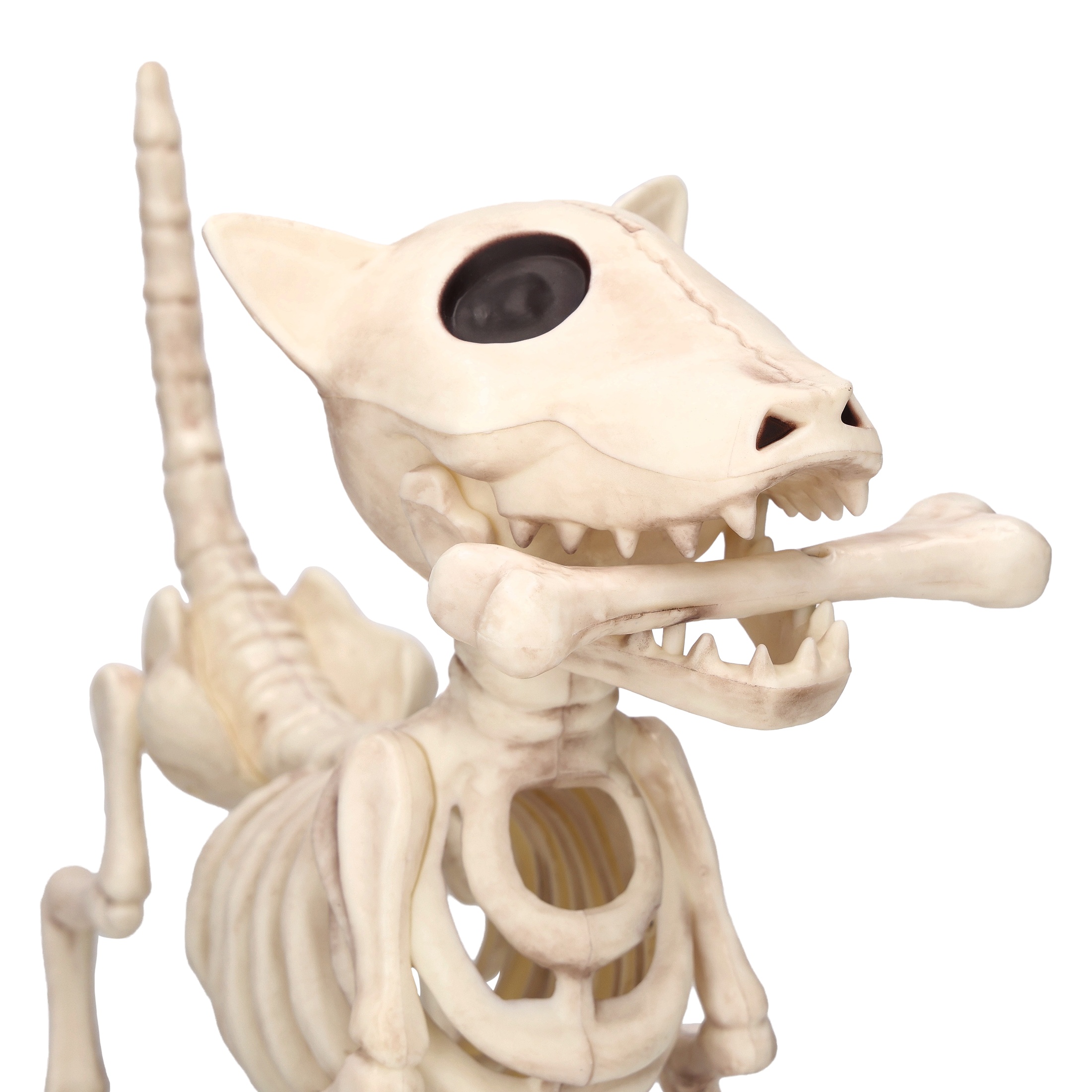 Way To Celebrate 9" Faux Skeleton Dog Decoration photo 5