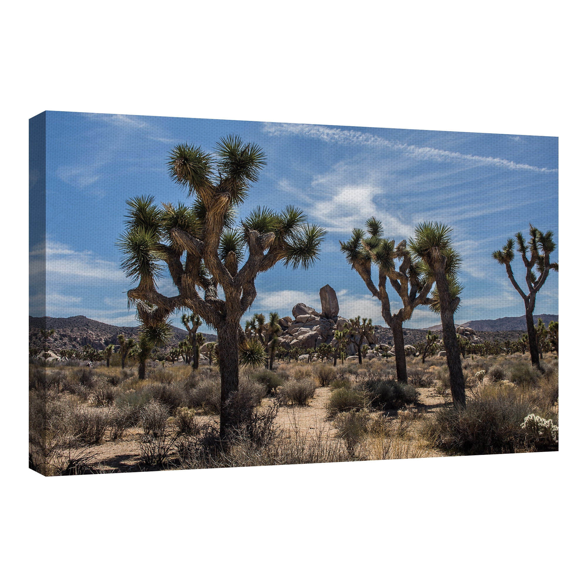 Masterpiece Art Gallery Desert Vista Trees By Owen Rupp Canvas Art Print 24" x 36"