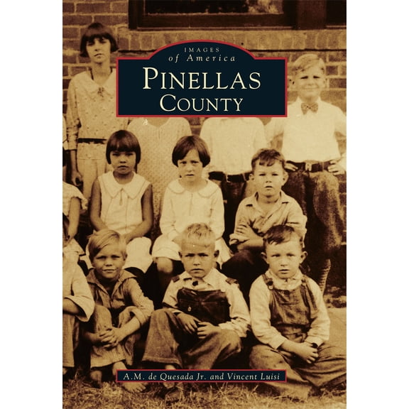 Pre-Owned Pinellas County (Paperback) 0738587656 9780738587653