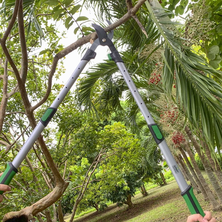 Extendable Bypass Lopper With Telescoping Handle photo 6